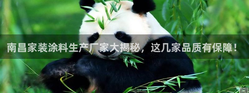 和记ag旗舰：南昌家装涂料生产厂家大揭秘，这几家品质有保障！