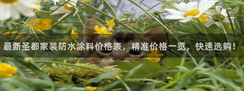 和记h88最新客户端下载