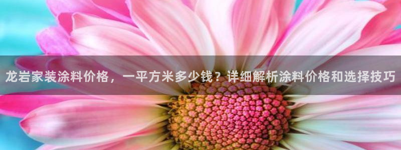 和记官方直营：龙岩家装涂料价格，一平方米多少钱？详细解析涂料价格和选择技巧
