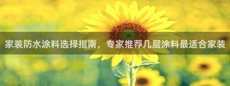 和记港口