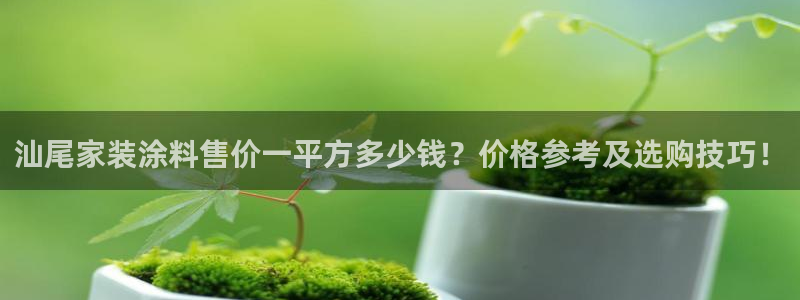 和记国际电讯市值：汕尾家装涂料售价一平方多少钱？价格参考及选购技巧！