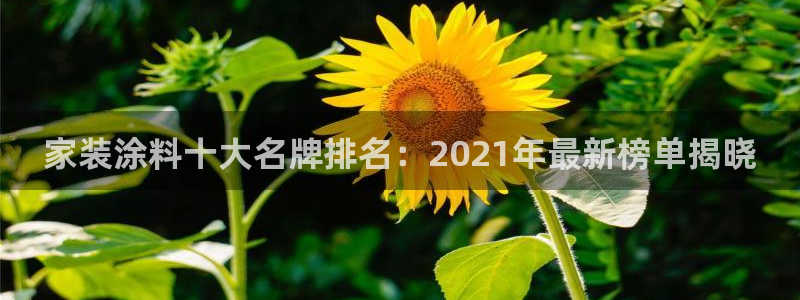 和记ag网页版：家装涂料十大名牌排名：2021年最新榜单揭晓