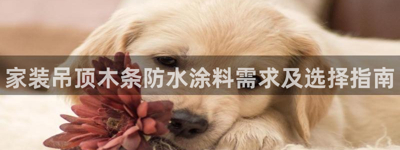 和记国际电讯市值