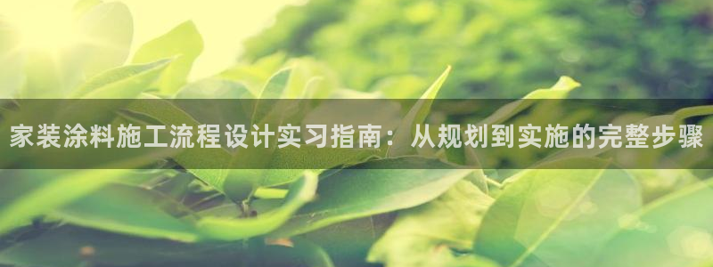 下载和记app：家装涂料施工流程设计实习指南：从规划到实施的完整步骤