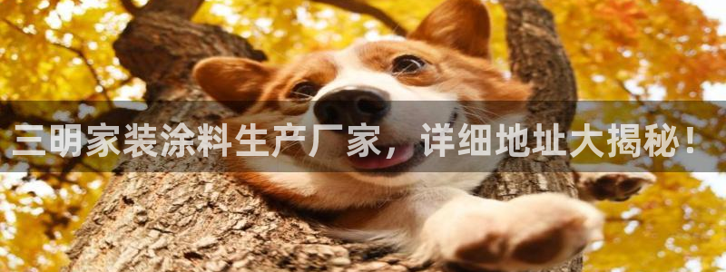 和记国际官网官网：三明家装涂料生产厂家，详细地址大揭秘！