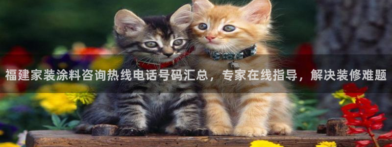 和记注册有什么送的：福建家装涂料咨询热线电话号码汇总，专家在线指导，解决装修难题