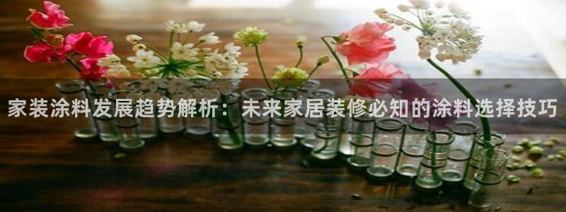 和记港口：家装涂料发展趋势解析：未来家居装修必知的涂料选择技巧