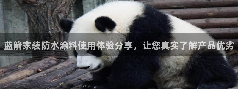 官方和记国际平台登录：蓝箭家装防水涂料使用体验分享，让您真实了解产品优劣