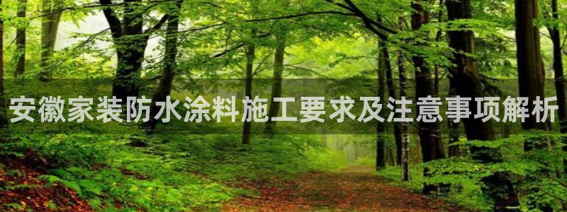 和记官方直营注册：安徽家装防水涂料施工要求及注意事项解析