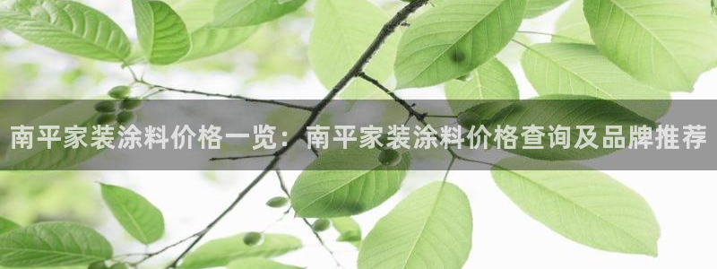 和记平台注册：南平家装涂料价格一览：南平家装涂料价格查询及品牌推荐