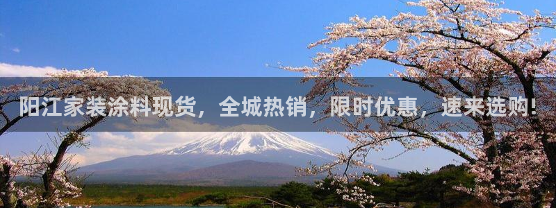 和记(福建)商贸有限公司：阳江家装涂料现货，全城热销，限时优惠，速来选购!