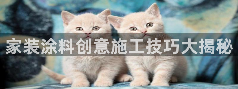 和记国际客服：家装涂料创意施工技巧大揭秘
