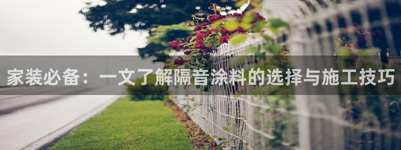 和记ag旗舰国际：家装必备：一文了解隔音涂料的选择与施工技巧
