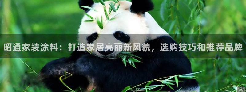 和记下载：昭通家装涂料：打造家居亮丽新风貌，选购技巧和推荐品牌