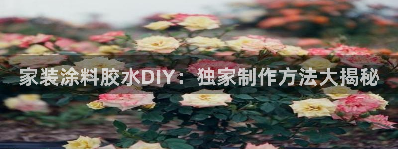 和记官方平台：家装涂料胶水DIY：独家制作方法大揭秘