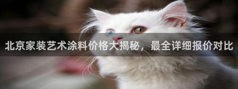 和记H88