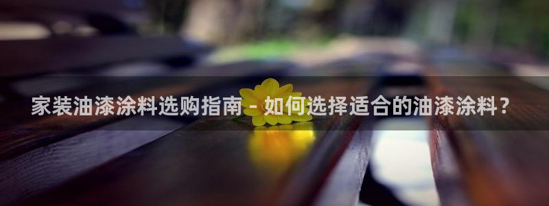 和记官网 公司