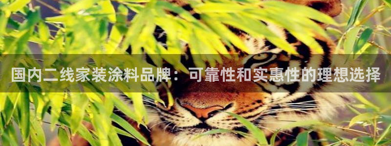 和记国际