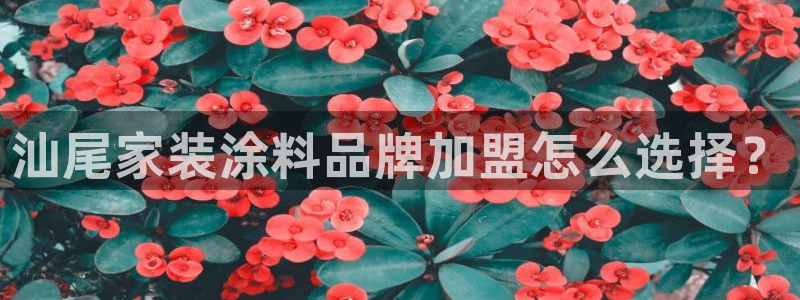 和记官方直营注册