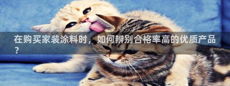 和记娱好网址