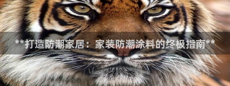 深圳和记科技有限公司