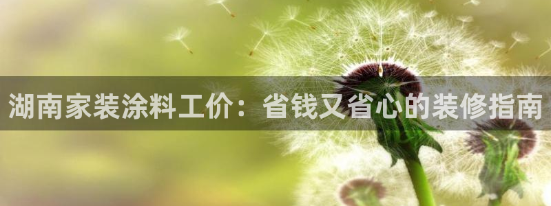 上海和记餐饮有限公司：湖南家装涂料工价：省钱又省心的装修指南