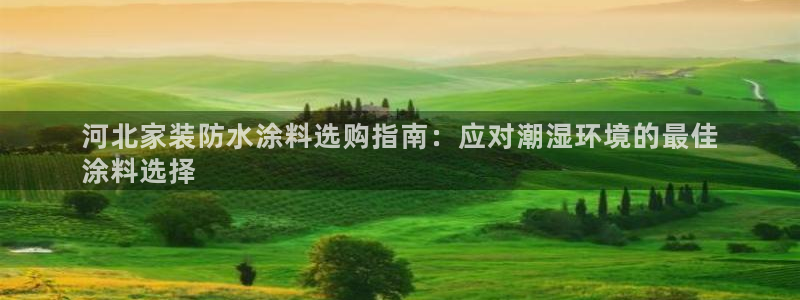 和记官网首页：河北家装防水涂料选购指南：应对潮湿环境的最佳
涂料选择
