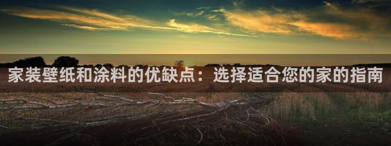 和记广告女主角：家装壁纸和涂料的优缺点：选择适合您的家的指南