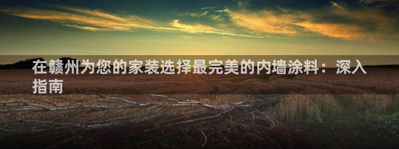 和记h88游戏：在赣州为您的家装选择最完美的内墙涂料：深入
指南