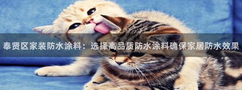和记官方网址：奉贤区家装防水涂料：选择高品质防水涂料确保家居防水效果