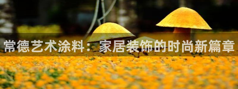 和记ag