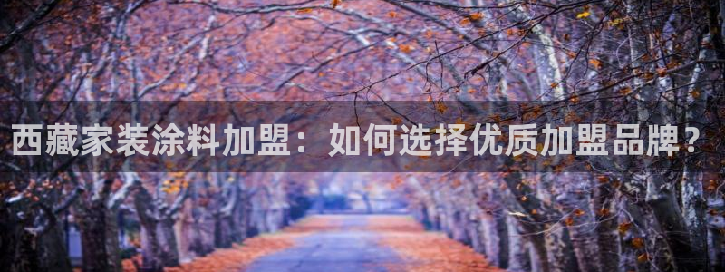和记平台登录：西藏家装涂料加盟：如何选择优质加盟品牌？