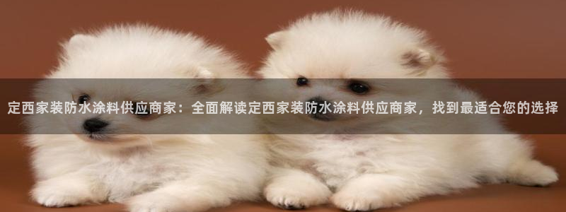 和记ag登录：定西家装防水涂料供应商家：全面解读定西家装防水涂料供应商家，找到最适合您的选择