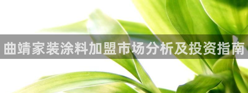 和记官方：曲靖家装涂料加盟市场分析及投资指南