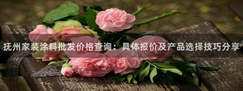 深圳和记科技有限公司：抚州家装涂料批发价格查询：具体报价及产品选择技巧分享
