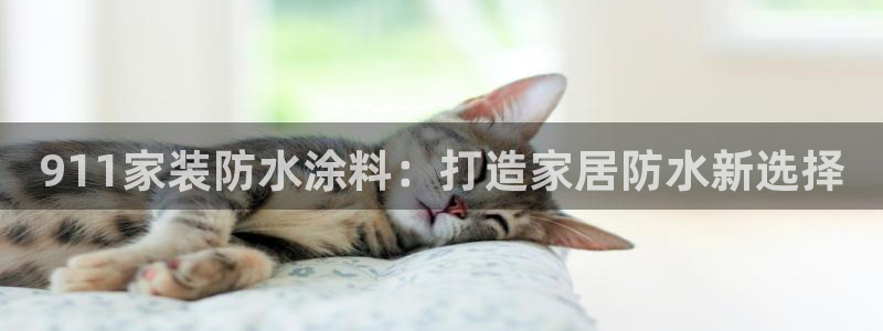 和记paging