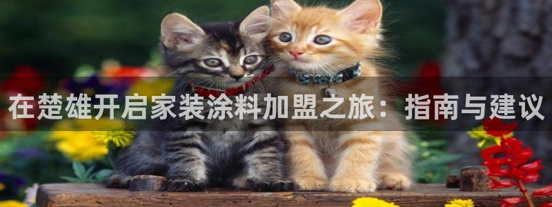 和记官方网站