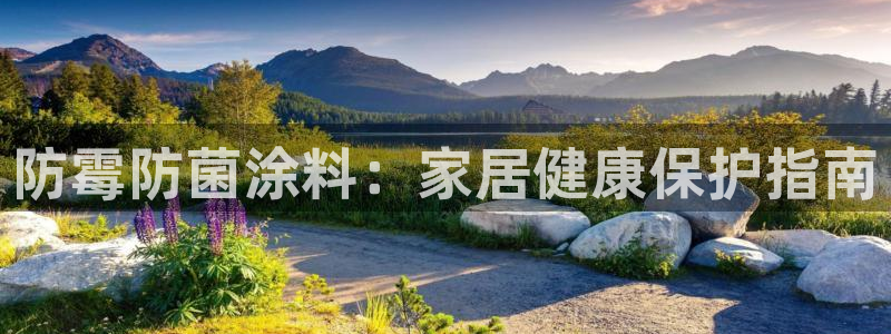 和记国际听：防霉防菌涂料：家居健康保护指南