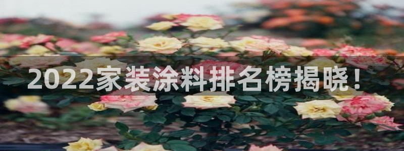 和记ag登录：2022家装涂料排名榜揭晓！