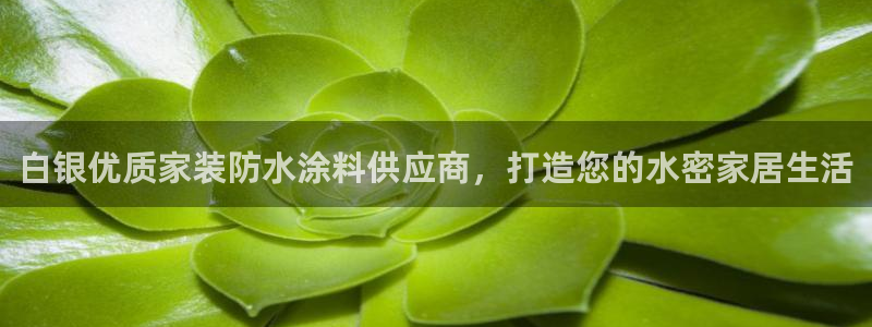 和记网页：白银优质家装防水涂料供应商，打造您的水密家居生活