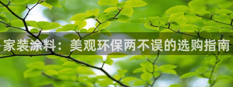 和记app官网：家装涂料：美观环保两不误的选购指南