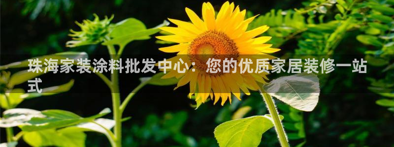 和记官网 公司：珠海家装涂料批发中心：您的优质家居装修一站
式