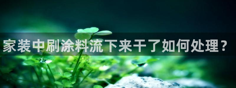 和记 中国官网：家装中刷涂料流下来干了如何处理？