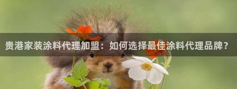 和记 官网