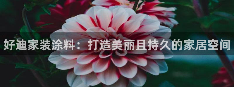 和记国际客服：好迪家装涂料：打造美丽且持久的家居空间