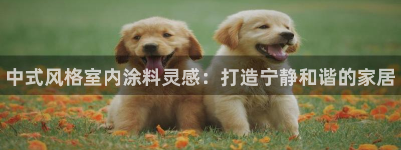 和记h8