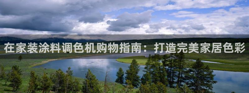 和记官网：在家装涂料调色机购物指南：打造完美家居色彩