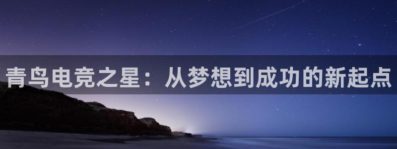 米兰电竞网页版入口