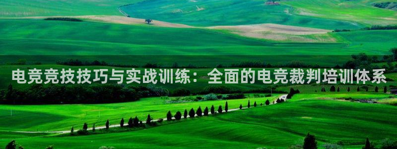 米兰电竞官网下载