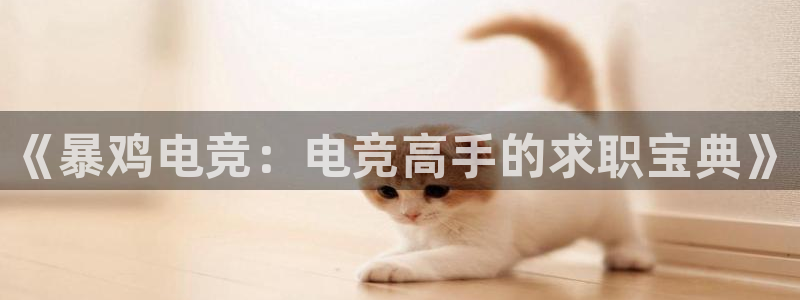 米兰电竞网页版入口